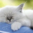 39154-3216.gif, 24 KB