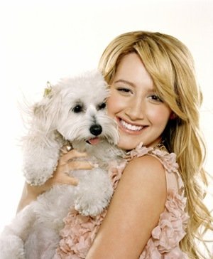 39332-ashley_tisdale.jpg, 32 KB